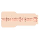 FLESHLIGHT - Cipka Vanna Bardot Dopamine