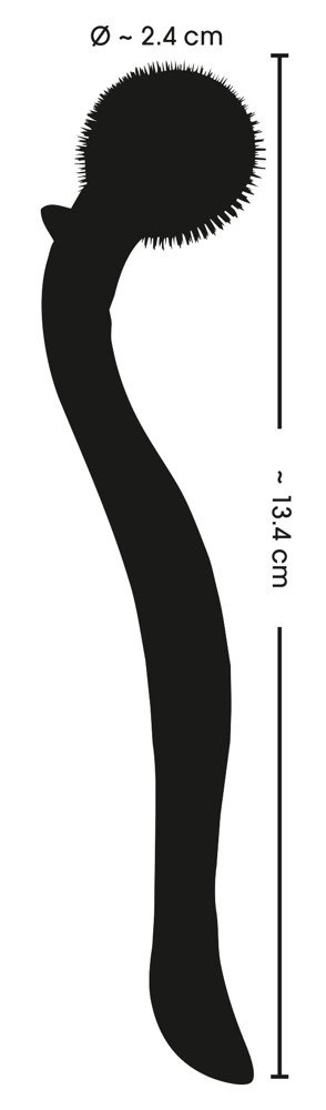 Fetish Collection - Koło Kolczaste Wartenberga Małe 13,4 CM BDSM Fetish Collection - Koło Kolczaste Wartenberga Małe 13,4 CM BDSM