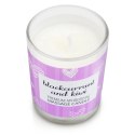 Magnetifico - Świeca Olejek Do Masażu Ciała Z Feromonami - Czarna Porzeczka I Kiwi 70ml