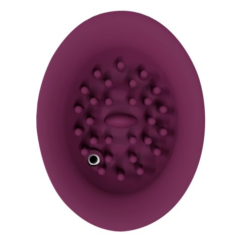 Innovation by Shots- Twitch 3 Wibrator z możliwością ładowania i ssania - Burgund Innovation by Shots- Twitch 3 Wibrator z możliwością ładowania i ssania - Burgund