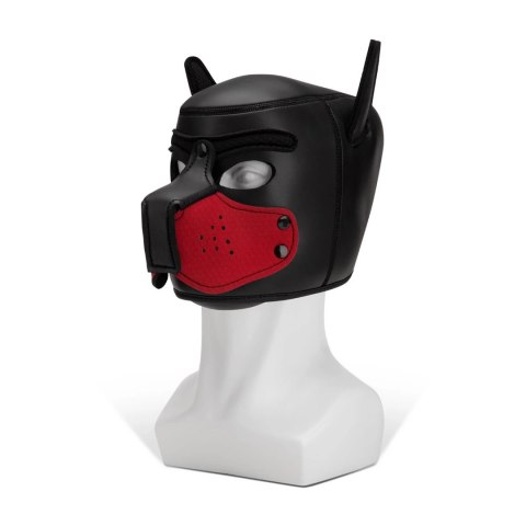 Kaganiec Puppy Prowler Red Kaganiec Puppy Prowler Red