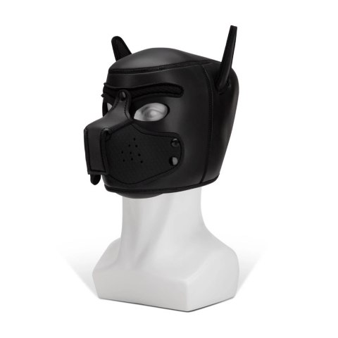 Kaganiec Puppy Prowler Red Kaganiec Puppy Prowler Red