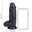 RealRock - Extra cienkie realistyczne dildo z jądrami 20,3 cm