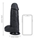 RealRock - Extra cienkie realistyczne dildo z jądrami 25,4 cm
