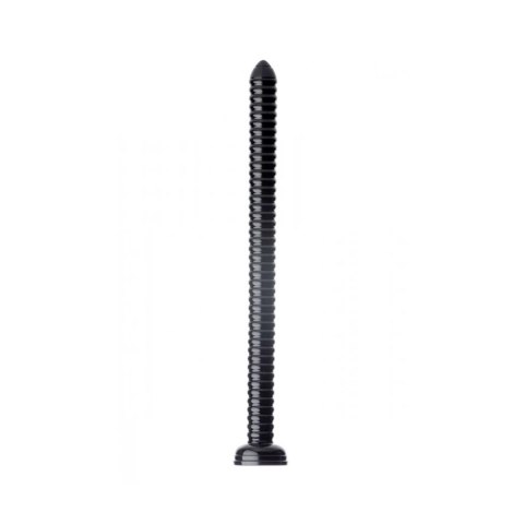 XR Brands - Wąż analny - 48 cm XR Brands - Wąż analny - 48 cm
