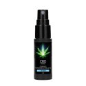 Feromon dla niego CBD 15 ml Pharmquests shots