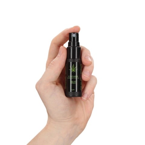 Krem na opóźnienie wytrysku 15 ml Pharmaquests shots Krem na opóźnienie wytrysku 15 ml Pharmaquests shots