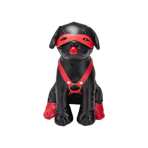 Szczeniak do tresury Prowler Red Szczeniak do tresury Prowler Red