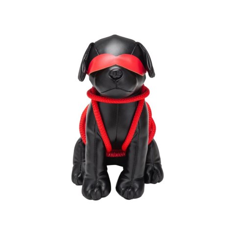 Szczeniak do tresury Roped Prowler Red Szczeniak do tresury Roped Prowler Red