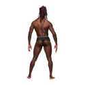 Stringi SM Male Power