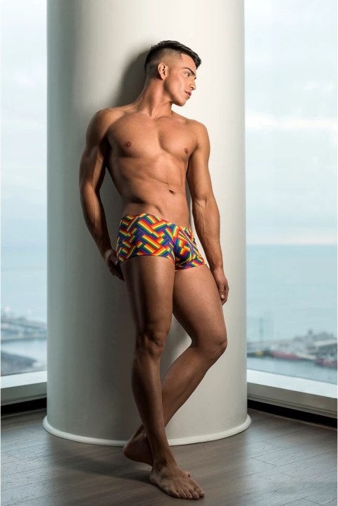 Szorty M Pride Male Power Szorty M Pride Male Power