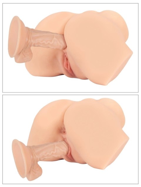 Realistixxx - Realistyczny Masturbator Tors 2 Pozycyjny Realistixxx - Realistyczny Masturbator Tors 2 Pozycyjny