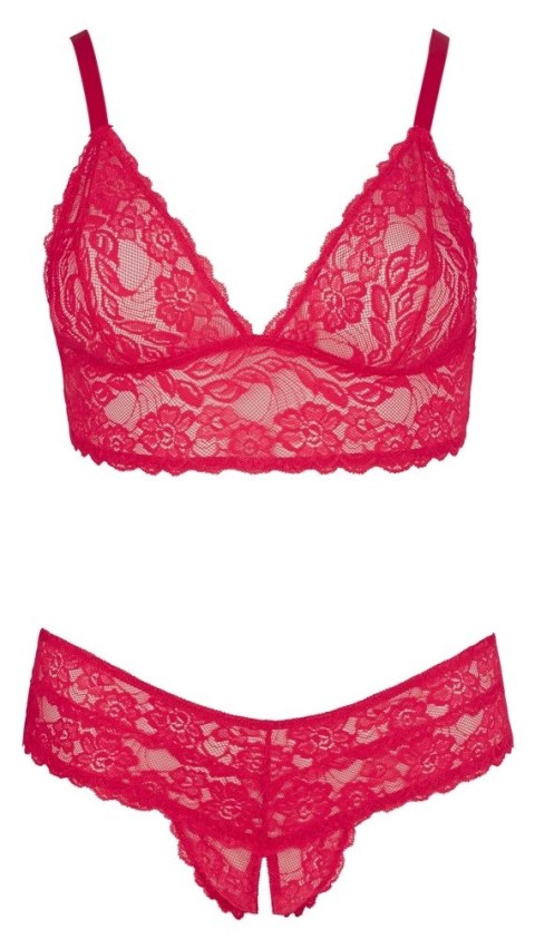 Cottelli CURVES - Czerwony Koronkowy Zestaw Stanik Bez Zapięcia I Stringi Bez Kroku 2XL Cottelli CURVES - Czerwony Koronkowy Zestaw Stanik Bez Zapięcia I Stringi Bez Kroku 2XL