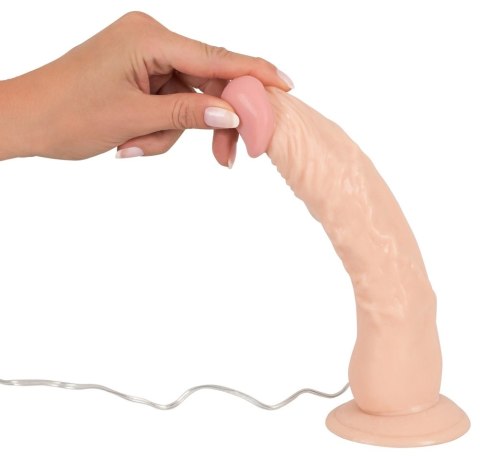 European Lover - Realistyczne Wibrator Z Przyssawką I Pilotem 23cm European Lover - Realistyczne Wibrator Z Przyssawką I Pilotem 23cm