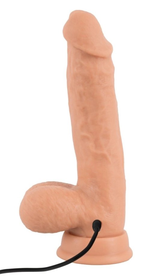 Realistixxx - Naturalny Wibrator Z Żyłami Żołędziem I Jądrami 21cm Realistixxx - Naturalny Wibrator Z Żyłami Żołędziem I Jądrami 21cm