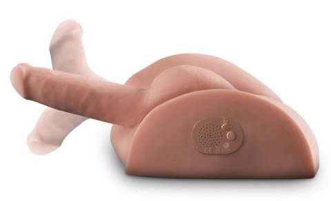 Pdx Male - Masturbator W Kształcie Tyłka Z Penisem I Jąrami Wydający Dźwięk Pdx Male - Masturbator W Kształcie Tyłka Z Penisem I Jąrami Wydający Dźwięk