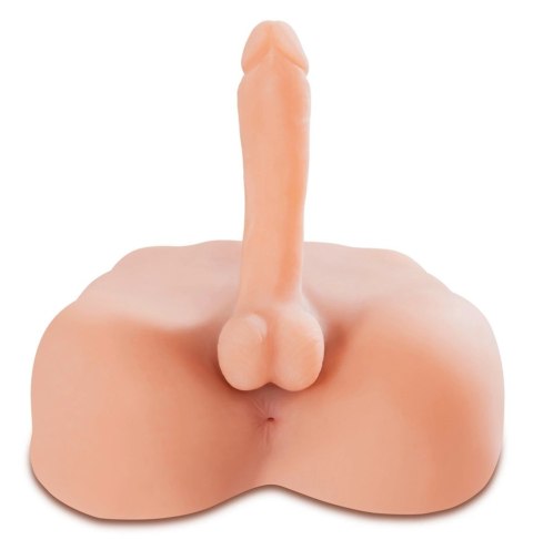 PET - Realistyczny Masturabtor Męski Tors Z Dużym Penisem I Otworem Odbytu PET - Realistyczny Masturabtor Męski Tors Z Dużym Penisem I Otworem Odbytu