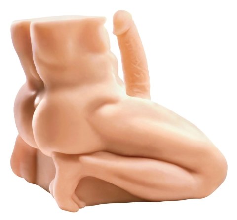 PET - Realistyczny Męski Tors Z Penisem W Pozycji Na Kolanach PET - Realistyczny Męski Tors Z Penisem W Pozycji Na Kolanach