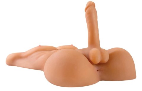 PET - Realistyczny Męski Tors Z Penisem I Otworem Analnym PET - Realistyczny Męski Tors Z Penisem I Otworem Analnym