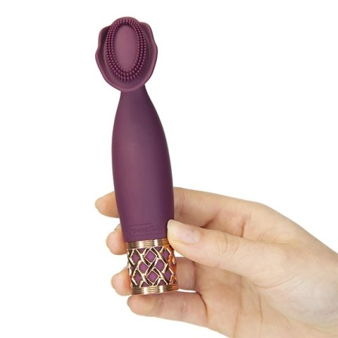 Wibrator - Pillow Talk Secrets Passion Wine Wibrator - Pillow Talk Secrets Passion Wine