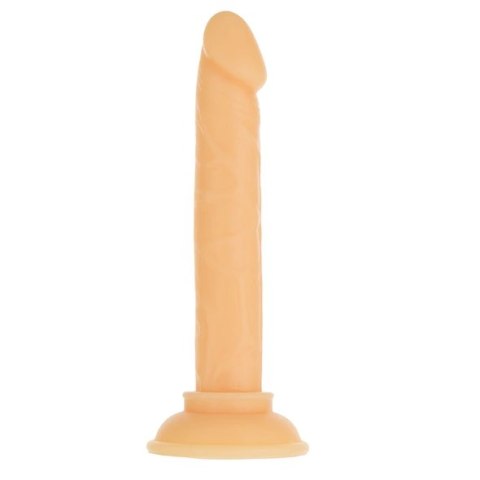 Dildo - Addiction Tino Dong 13 cm Dildo - Addiction Tino Dong 13 cm