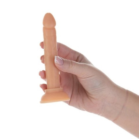 Dildo - Addiction Tino Dong 13 cm Dildo - Addiction Tino Dong 13 cm