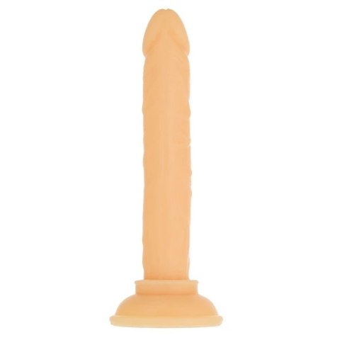 Dildo - Addiction Tino Dong 13 cm Dildo - Addiction Tino Dong 13 cm