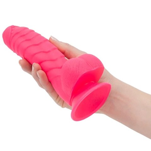 Dildo - Addiction Tom Dong 18 cm Hot Pink Dildo - Addiction Tom Dong 18 cm Hot Pink