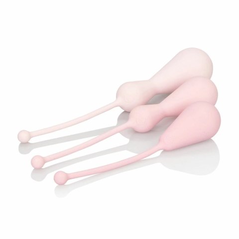 Kulki kegla zestaw - Inspire Weighted Kegel Training Kit Kulki kegla zestaw - Inspire Weighted Kegel Training Kit