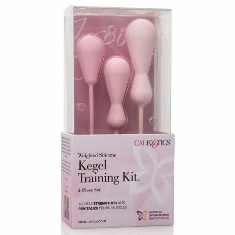 Kulki kegla zestaw - Inspire Weighted Kegel Training Kit Kulki kegla zestaw - Inspire Weighted Kegel Training Kit