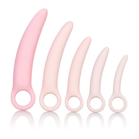 Zestaw dildo - Inspire Silicone Dilator 5 Pcs Set Zestaw dildo - Inspire Silicone Dilator 5 Pcs Set