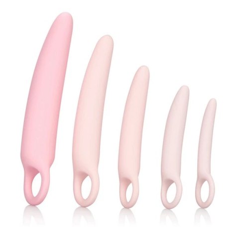 Zestaw dildo - Inspire Silicone Dilator 5 Pcs Set Zestaw dildo - Inspire Silicone Dilator 5 Pcs Set