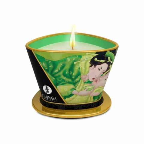 Świeca do masażu - Shunga Massage Candle Green Tea 170 ml Świeca do masażu - Shunga Massage Candle Green Tea 170 ml