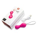 Kulki gejszy - Gvibe Gballs 2 Petal Rose