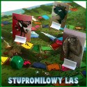 Stupromilowy las - Gra imprezowa PL
