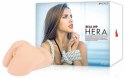 Hera Real Hip model anatomiczny, kompaktowy, miękki materiał