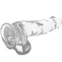 XRAY Model Clear żelowy 18,5 cm transparentny z kulkami, przyssawka