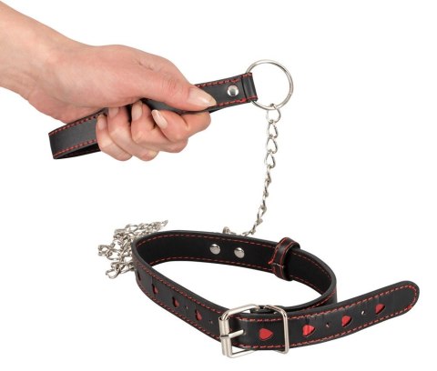 OBROŻA COLLAR AND LEASH