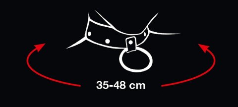 OBROŻA COLLAR AND LEASH