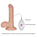 DILDO 7.5 THE ULTRA SOFT DUDE VIBRATING DILDO 7.5 THE ULTRA SOFT DUDE VIBRATING