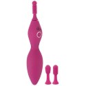 Spot Vibrator with 3 Tips