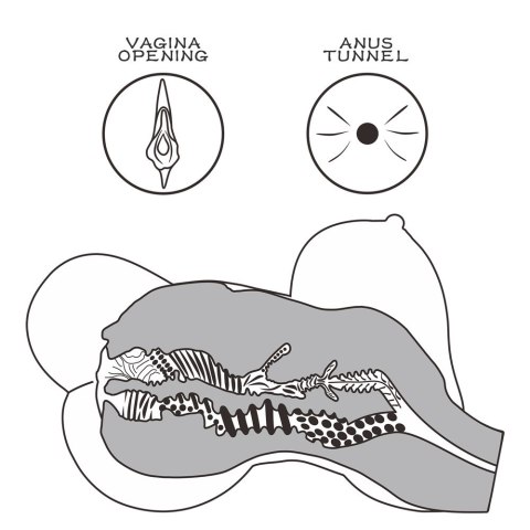 MASTURBATOR STREETGIRL'S #6 MASTURBATOR STREETGIRL'S #6