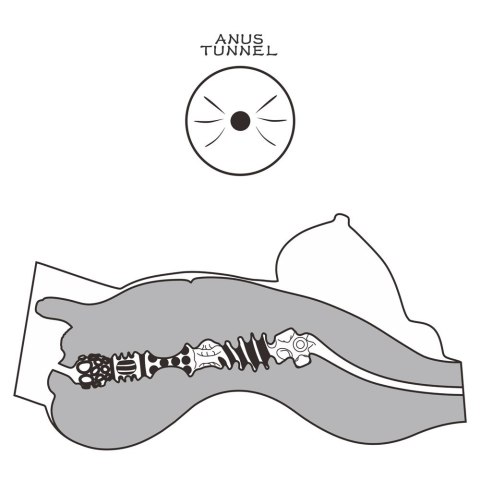 MASTURBATOR STREETGIRL'S #8 MASTURBATOR STREETGIRL'S #8