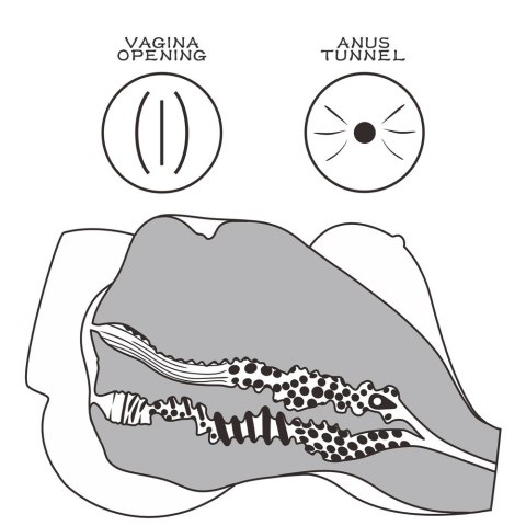 REALISTYCZNE TUŁOWIE STREETGIRL'S #7 BLACK REALISTYCZNE TUŁOWIE STREETGIRL'S #7 BLACK