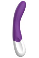 WIBRATOR LIEBE BEND IT RECHARGEABLE PURPLE WIBRATOR LIEBE BEND IT RECHARGEABLE PURPLE