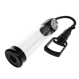 POMPKA PRETTY LOVE - ALEXANDER