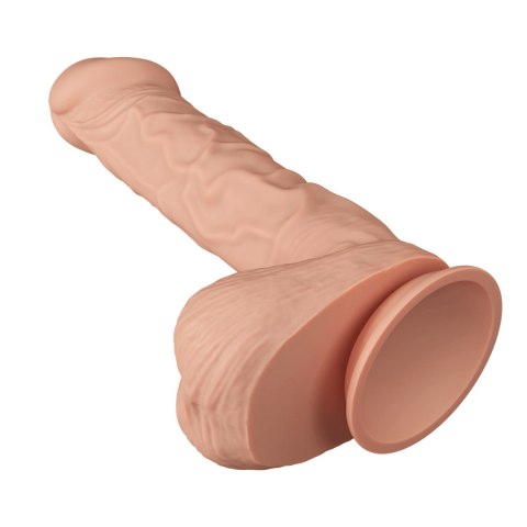 DILDO BEAUTIFUL BERGRISI DILDO BEAUTIFUL BERGRISI