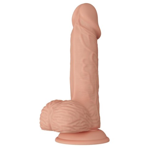 DILDO BEAUTIFUL CATOBLEPAS DILDO BEAUTIFUL CATOBLEPAS