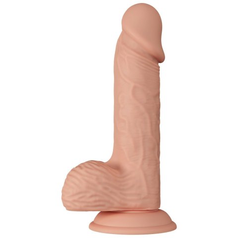 DILDO BEAUTIFUL CATOBLEPAS DILDO BEAUTIFUL CATOBLEPAS