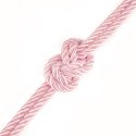 LINA DO KRĘPOWANIA REBELLION ROSE SILKY BONDAGE ROPE